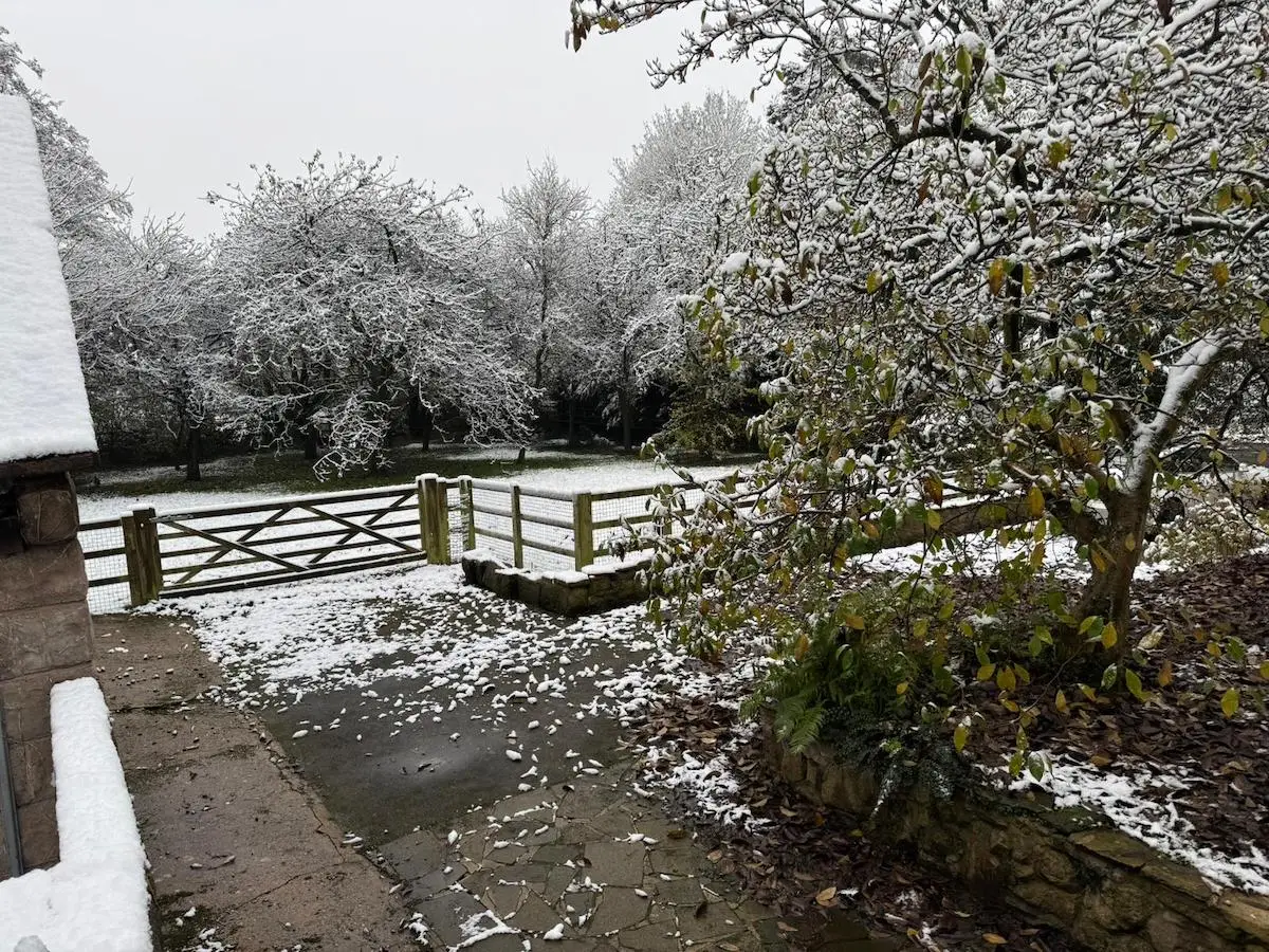 snow 2